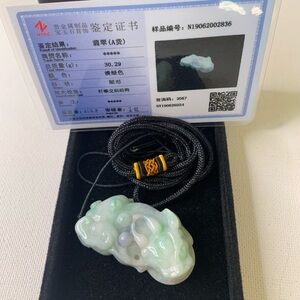 Certified Green Burma 100% Natural A Jade Jadeite Pendant Dragon Pixiu Necklace